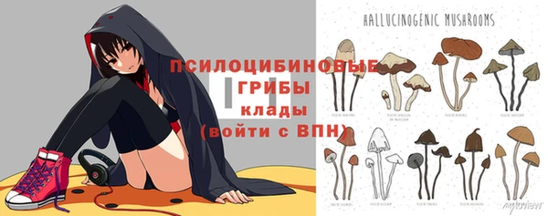 сатива Тихорецк