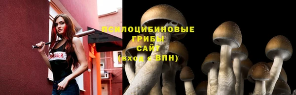 MESCALINE Тында