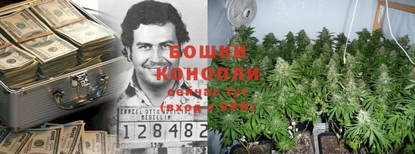 сатива Тихорецк