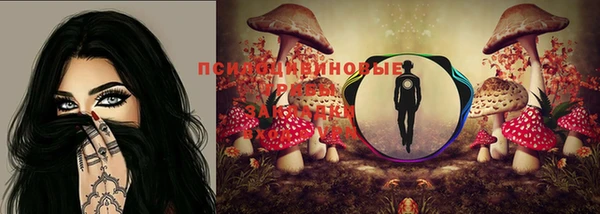 синтетический гашиш Тихвин