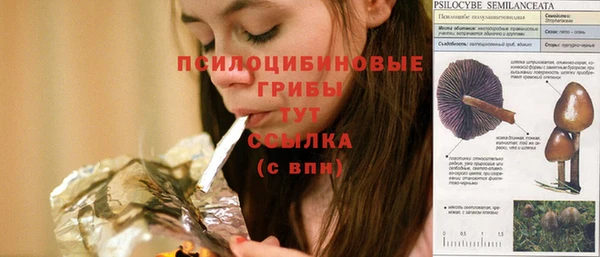 spice Тобольск