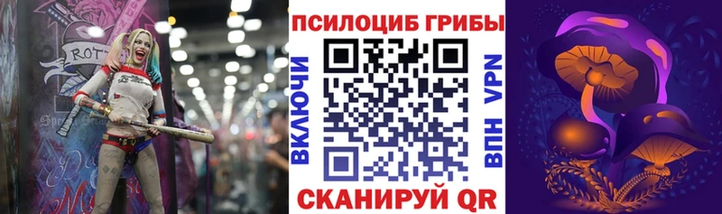 даркнет Telegram  Ахтырский  Псилоцибиновые грибы MAGIC MUSHROOMS  даркнет сайт 